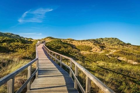 Footbridge, path, wooden walkway through the dunes, Sylt
