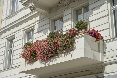 Old building, balcony, geraniums, Winterfeldtstraße, Schöneberg, Tempelhof-Schöneberg, Berlin,