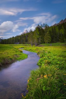 View along the stream Fiume Ansiei over a forest in the direction of the Three Peaks, Punta