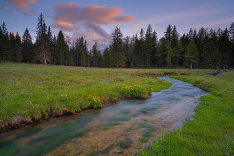 View along the Fiume Ansiei stream over a forest to the Sorapis mountain group in the evening