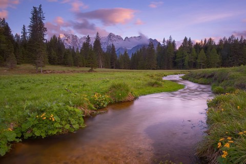 View along the Fiume Ansiei stream over a forest to the Sorapis mountain group in the evening