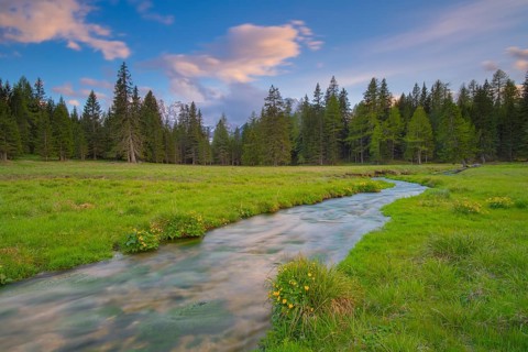 View along the Fiume Ansiei stream over a forest to the Sorapis mountain group in the evening