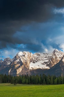 View over a meadow near Misurina to the Sorapis mountain group, Punta Sorapiss, Dolomites, South