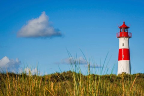 The Lister lighthouse at Ellenbogen, morning light, morning mood, dune, North Sea island, Sylt
