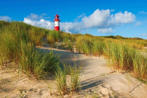 The Lister lighthouse at Ellenbogen, morning light, morning mood, dune, North Sea island, Sylt