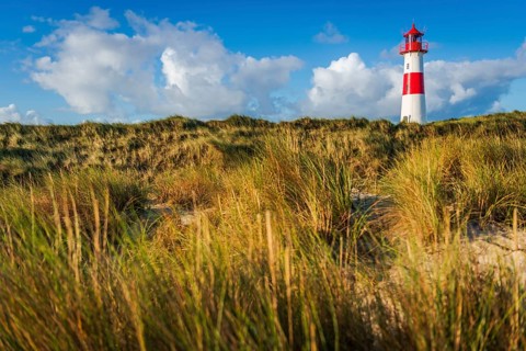 The Lister lighthouse at Ellenbogen, morning light, morning mood, dune, North Sea island, Sylt