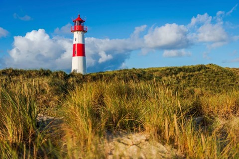 The Lister lighthouse at Ellenbogen, morning light, morning mood, dune, North Sea island, Sylt
