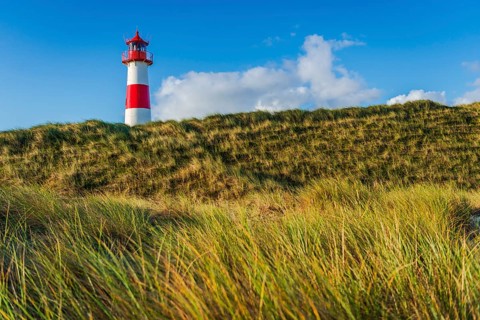 The Lister lighthouse at Ellenbogen, morning light, morning mood, dune, North Sea island, Sylt