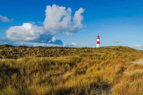 The Lister lighthouse at Ellenbogen, morning light, morning mood, dune, North Sea island, Sylt