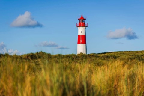 The Lister lighthouse at Ellenbogen, morning light, morning mood, dune, North Sea island, Sylt