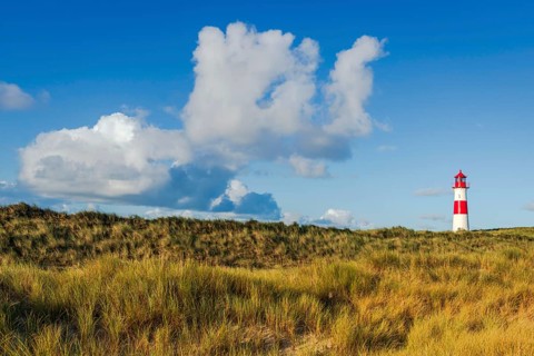 The Lister lighthouse at Ellenbogen, morning light, morning mood, dune, North Sea island, Sylt