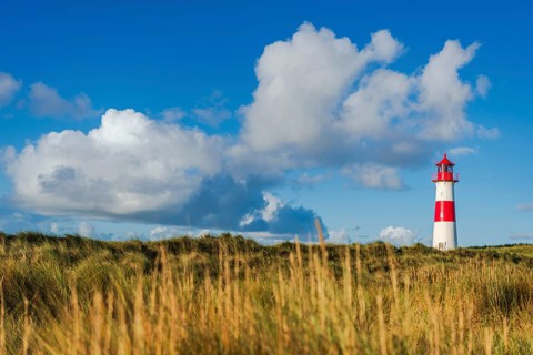 The Lister lighthouse at Ellenbogen, morning light, morning mood, dune, North Sea island, Sylt
