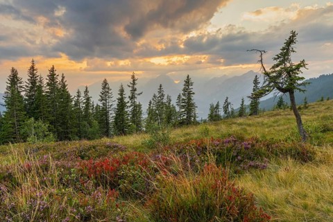 Mountain landscape in autumn at sunset, with the Inn valley and the Karwendel mountains behind,