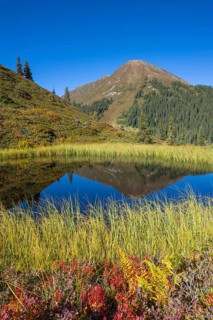 Moor pond at the Kleiner Gamsstein, behind it the Kuhmesser, Kleiner Gamsstein, Tuxer Voralpen,