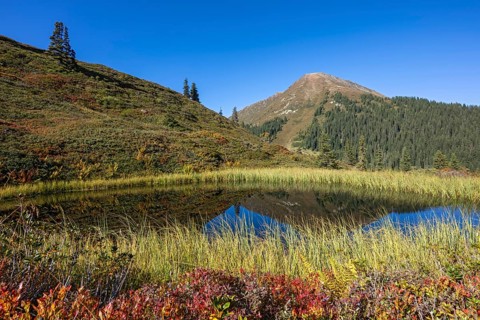 Moor pond at the Kleiner Gamsstein, behind it the Kuhmesser, Kleiner Gamsstein, Tuxer Voralpen,