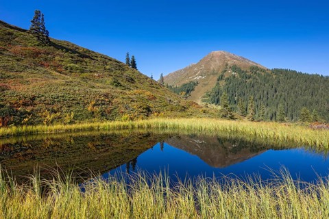 Moor pond at the Kleiner Gamsstein, behind it the Kuhmesser, Kleiner Gamsstein, Tuxer Voralpen,