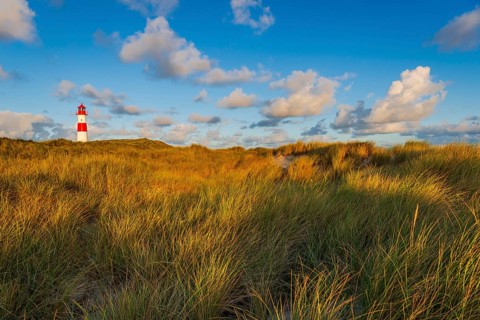 The Lister lighthouse at Ellenbogen, morning light, morning mood, dune, North Sea island, Sylt