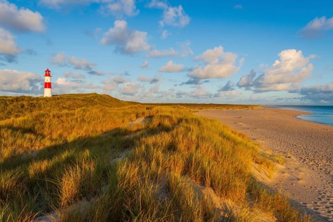 The Lister lighthouse at Ellenbogen, morning light, morning mood, dune, North Sea island, Sylt
