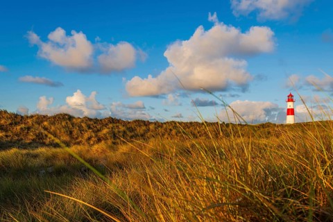 The Lister lighthouse at Ellenbogen, morning light, morning mood, dune, North Sea island, Sylt