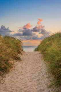 Path through the dunes in the morning light, wanderlust, holiday, North Sea, Sylt