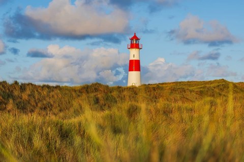 The Lister lighthouse at Ellenbogen, morning light, morning mood, dune, North Sea island, Sylt