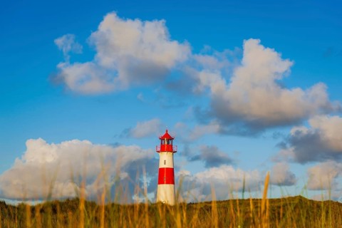 The Lister lighthouse at Ellenbogen, morning light, morning mood, dune, North Sea island, Sylt