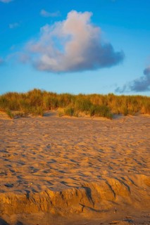 Sandy beach beach with dune and cloud in the morning light, Ellenbogen, Sylt