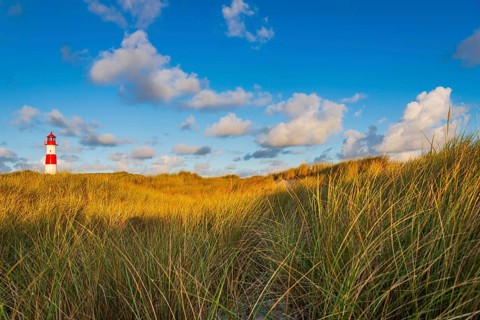 The Lister lighthouse at Ellenbogen, morning light, morning mood, dune, North Sea island, Sylt