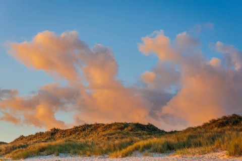 Sunrise on Ellenbogen beach, morning light, dunes, North Sea island of Sylt