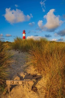 Nature reserve at Lister Ellenbogen, dunes, ban, no access, Sylt