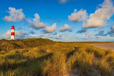 The Lister lighthouse at Ellenbogen, morning light, morning mood, dune, North Sea island, Sylt