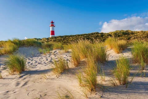 The Lister lighthouse at Ellenbogen, morning light, morning mood, dune, North Sea island, Sylt