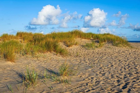 Lonely sandy beach in the sunny morning light at Ellenbogen, Sylt