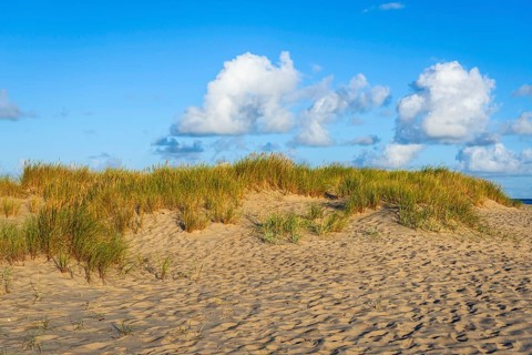 Lonely sandy beach in the sunny morning light at Ellenbogen, Sylt