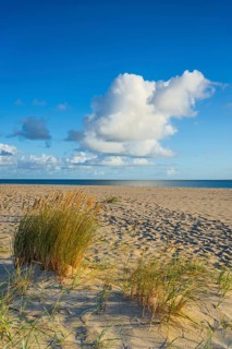 Lonely sandy beach in the sunny morning light, cloud, elbow, Sylt