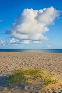 Lonely sandy beach in the sunny morning light, cloud, elbow, Sylt