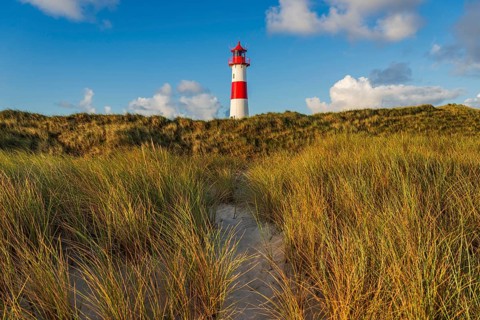 The Lister lighthouse at Ellenbogen, morning light, morning mood, dune, North Sea island, Sylt