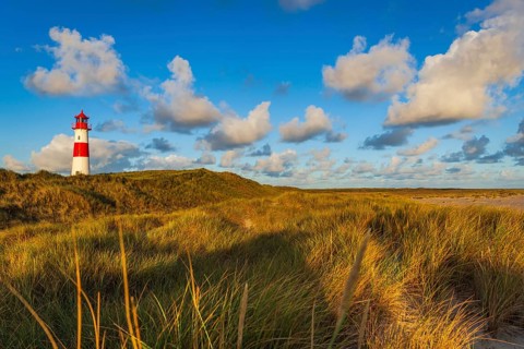 The Lister lighthouse at Ellenbogen, morning light, morning mood, dune, North Sea island, Sylt