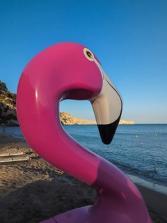 Pink flamingo pedal boat on Tsambika sandy beach with sea in the background at sunset, Tsambika