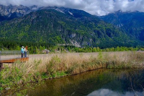 Slow Trail, reeds and springs at Lake Pressegger See, near Hermagor, Gailtal, Carinthia, Austria