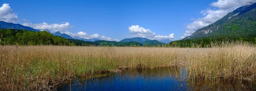 Slow Trail, reeds and springs at Lake Pressegger See, near Hermagor, Gailtal, Carinthia, Austria