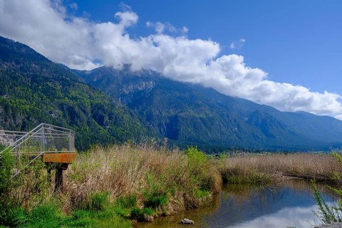 Slow Trail, reeds and springs at Lake Pressegger See, near Hermagor, Gailtal, Carinthia, Austria