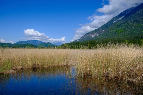 Slow Trail, reeds and springs at Lake Pressegger See, near Hermagor, Gailtal, Carinthia, Austria