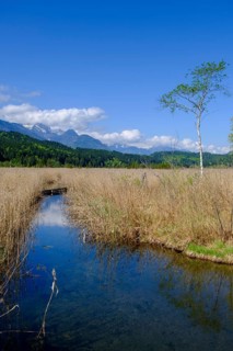Slow Trail, reeds and springs at Lake Pressegger See, near Hermagor, Gailtal, Carinthia, Austria