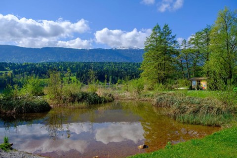 Lake Pressegger See, near Hermagor, Gailtal, Carinthia, Austria