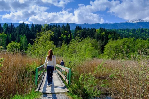 Slow Trail, reeds and springs at Lake Pressegger See, near Hermagor, Gailtal, Carinthia, Austria