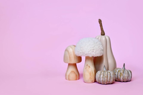 Decorative pumpkin and mushroom ornaments on pink background with copy space