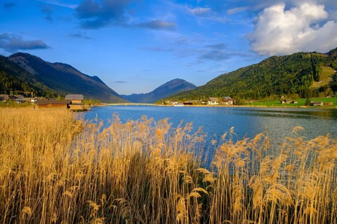 Evening atmosphere at the Weißensee, with reeds, near Techendorf, Carinthia, Austria
