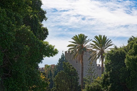 Medieval Grand Master's Palace with palm trees and lush vegetation under a slightly cloudy sky,