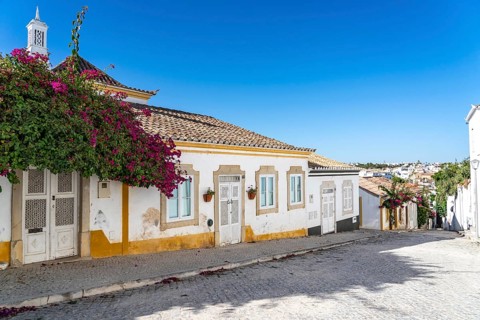 Old town alleys, houses, partly lushly overgrown, Tavira, in the Algarve, Portugal